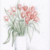 Ein Strauß rote Tulpen (1)